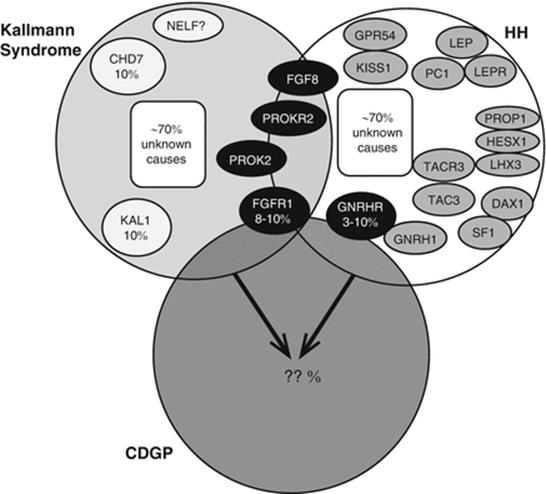 A334826_1_En_2_Fig2_HTML.gif