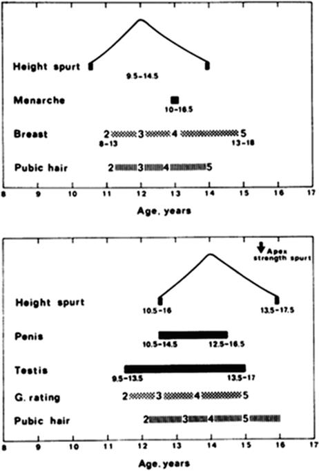 A334826_1_En_4_Fig4_HTML.gif