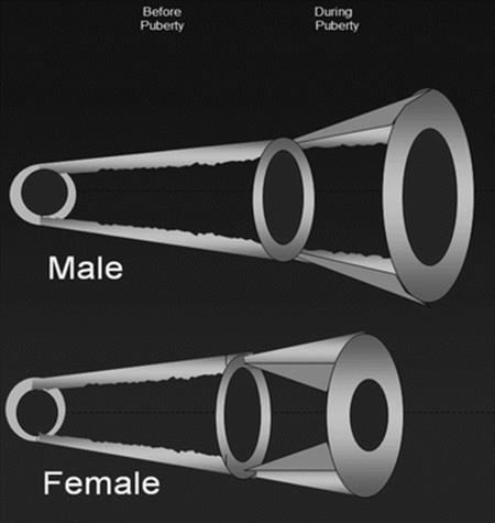 A334826_1_En_6_Fig1_HTML.gif