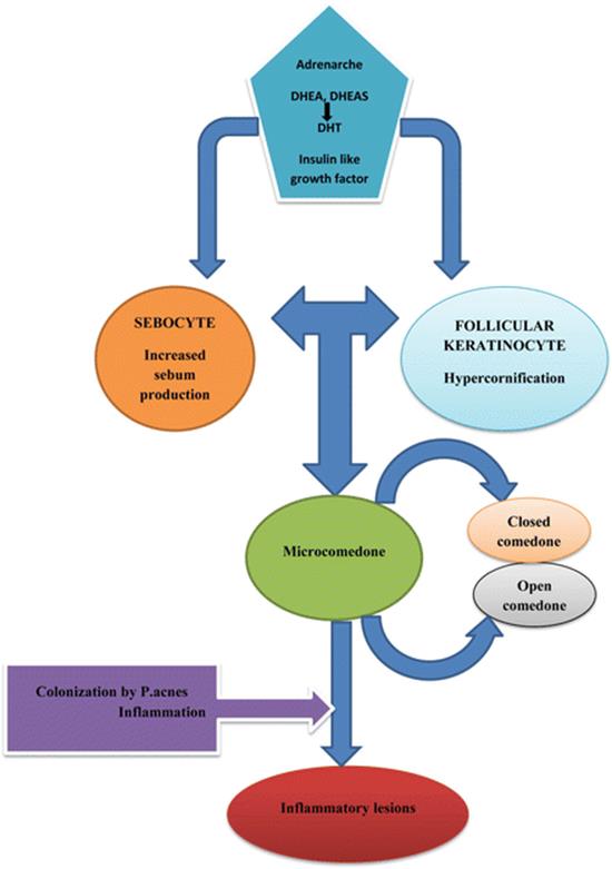 A334826_1_En_14_Fig1_HTML.gif