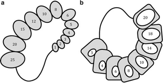 A334826_1_En_15_Fig2_HTML.gif