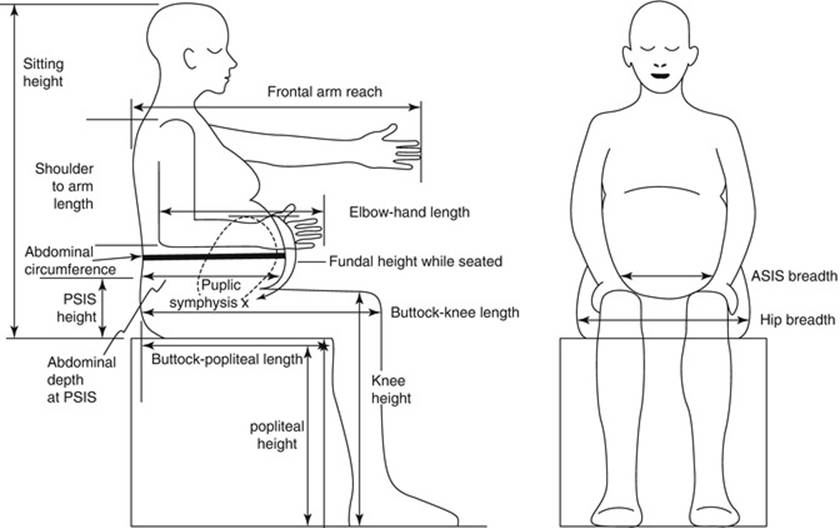 A322816_1_En_10_Fig9_HTML.jpg