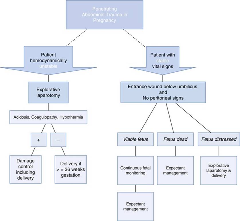A322816_1_En_10_Fig30_HTML.jpg