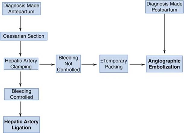 A322816_1_En_11_Fig5_HTML.jpg