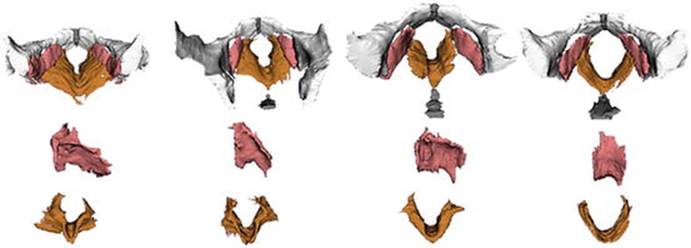 A308966_1_En_7_Fig2_HTML.jpg