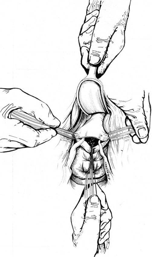 A339784_1_En_8_Fig37_HTML.jpg