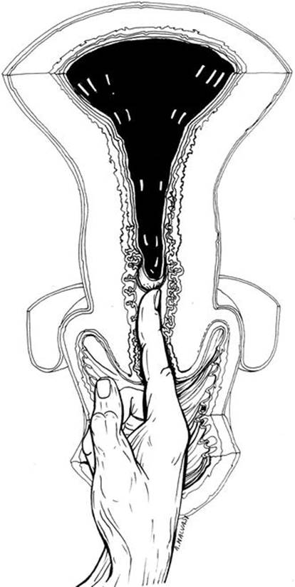 A339784_1_En_12_Fig2_HTML.jpg