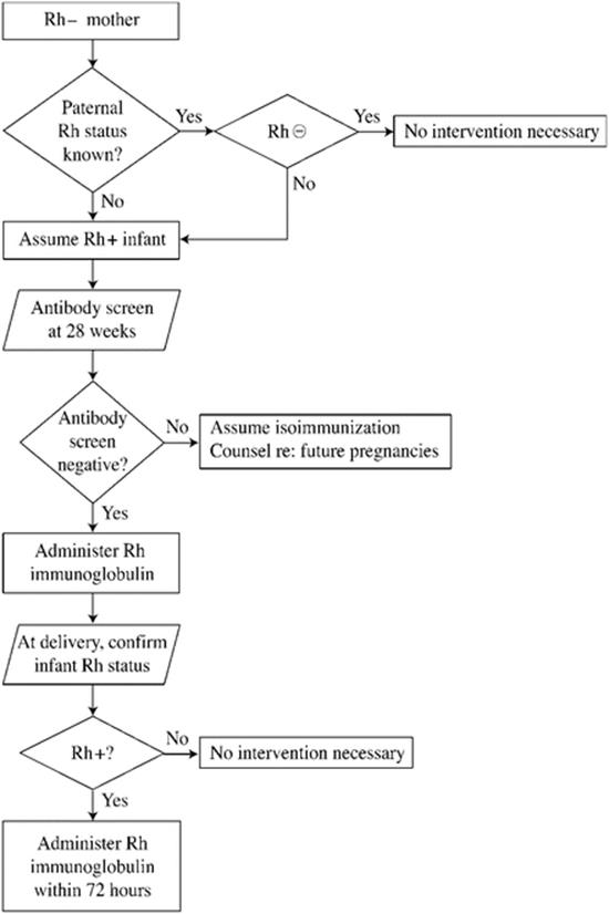 A145660_2_En_12_Fig1_HTML.gif