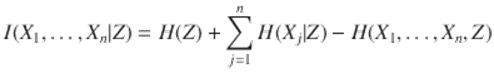  $$\displaystyle{ I(X_{1},\ldots,X_{n}\vert Z) = H(Z) +\sum _{ j=1}^{n}H(X_{ j}\vert Z) - H(X_{1},\ldots,X_{n},Z) }$$ 