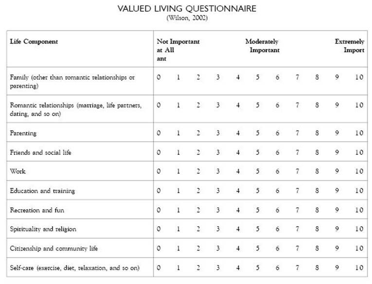 Valued Living Questionnaire