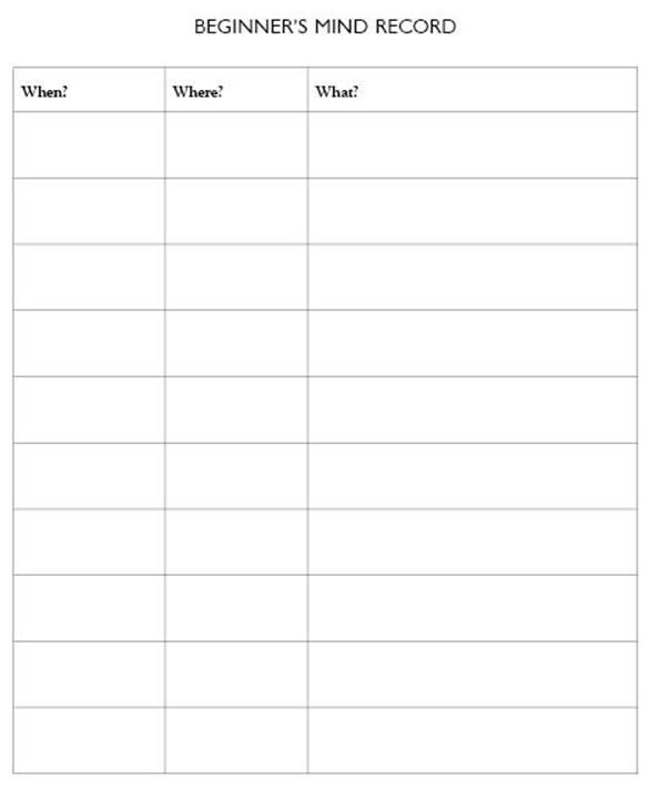 Beginner's Mind Record