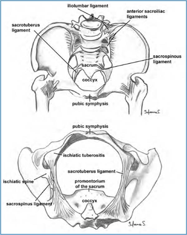 A978-88-470-5441-7_3_Fig1_HTML.jpg