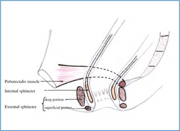 A978-88-470-5441-7_12_Fig1_HTML.jpg