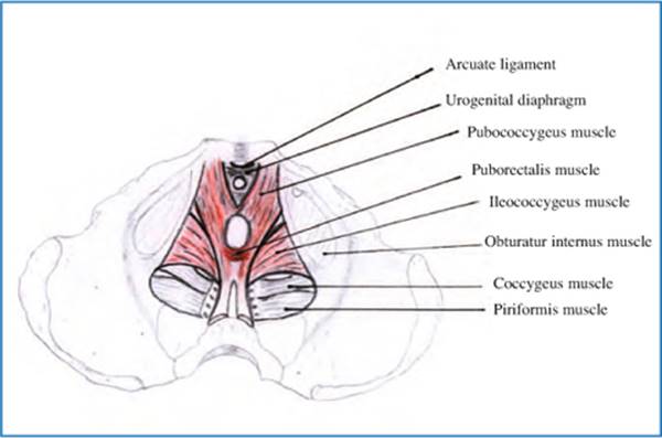 A978-88-470-5441-7_12_Fig2_HTML.jpg