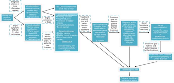 A308862_1_En_3_Fig4_HTML.gif
