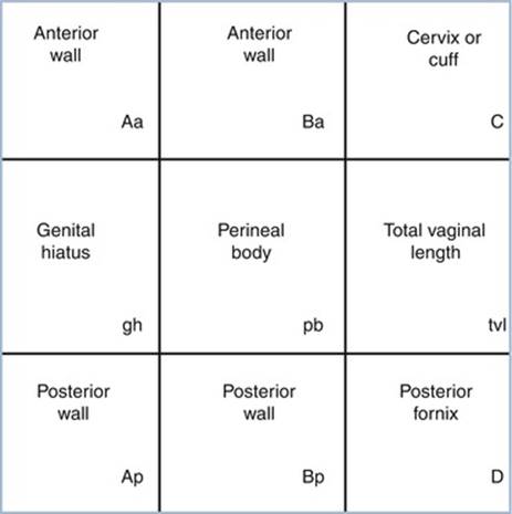 A308862_1_En_7_Fig1_HTML.jpg